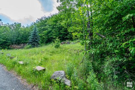 0 Panorama Drive Lot 15/16 Saranac Lake NY 12983