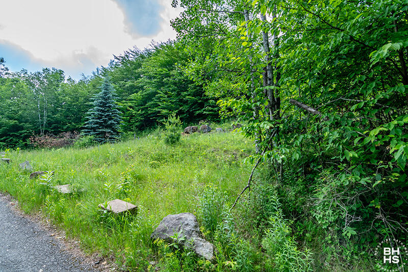 0 Panorama Drive Lot 15/16 Saranac Lake NY 12983