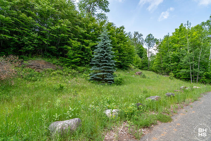 0 Panorama Drive Lot 15/16 Saranac Lake NY 12983