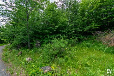 0 Panorama Drive Lot 15/16 Saranac Lake NY 12983