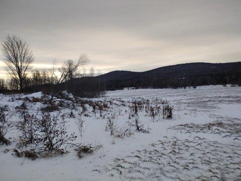1503 Bradley Pond Road Ellenburg Center NY 12934