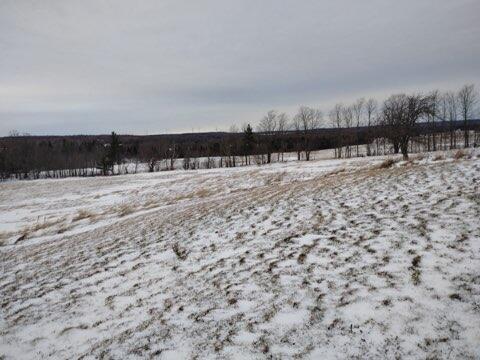 1503 Bradley Pond Road Ellenburg Center NY 12934