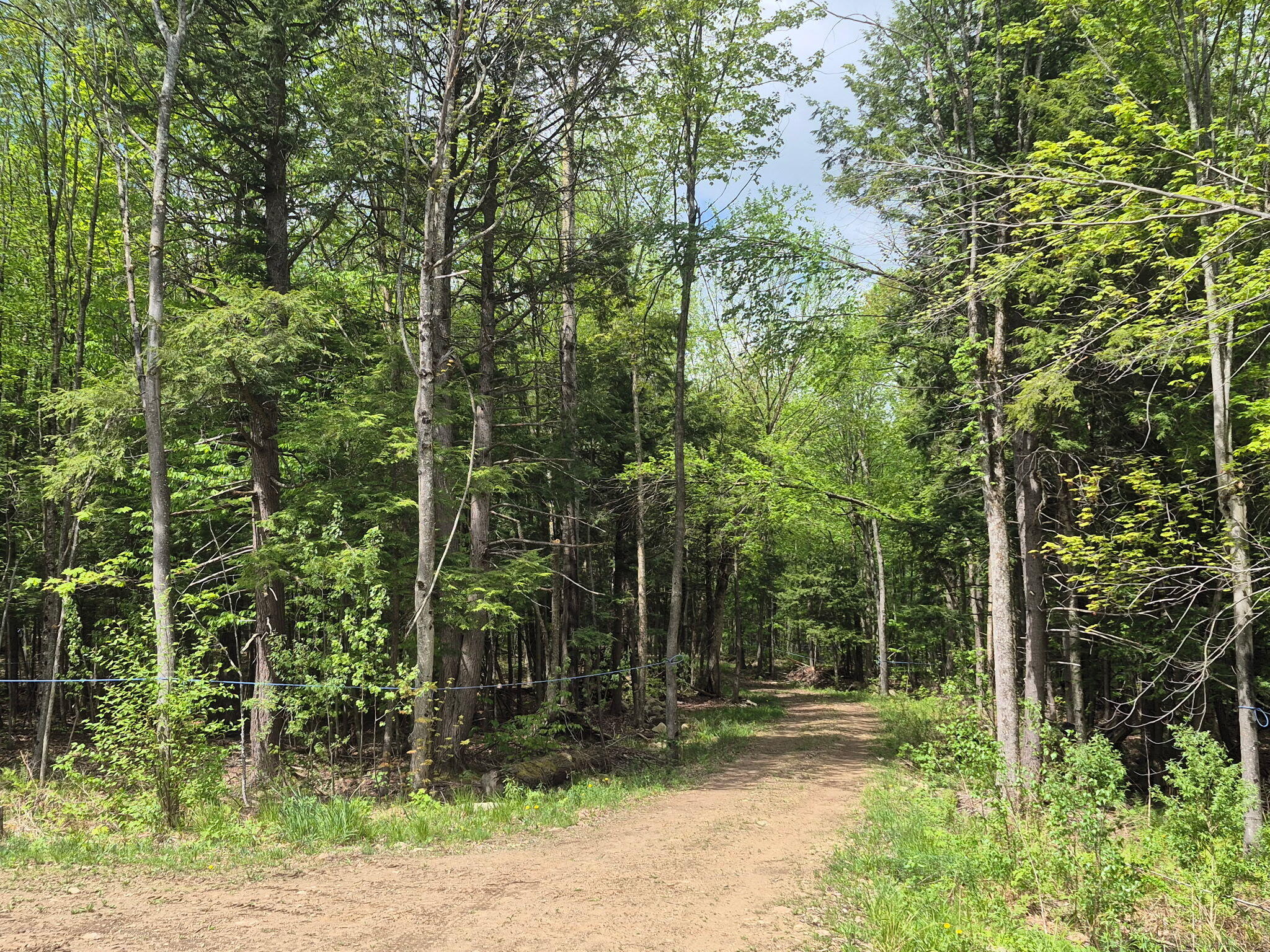 813 Bush Road Mooers Forks NY 12959