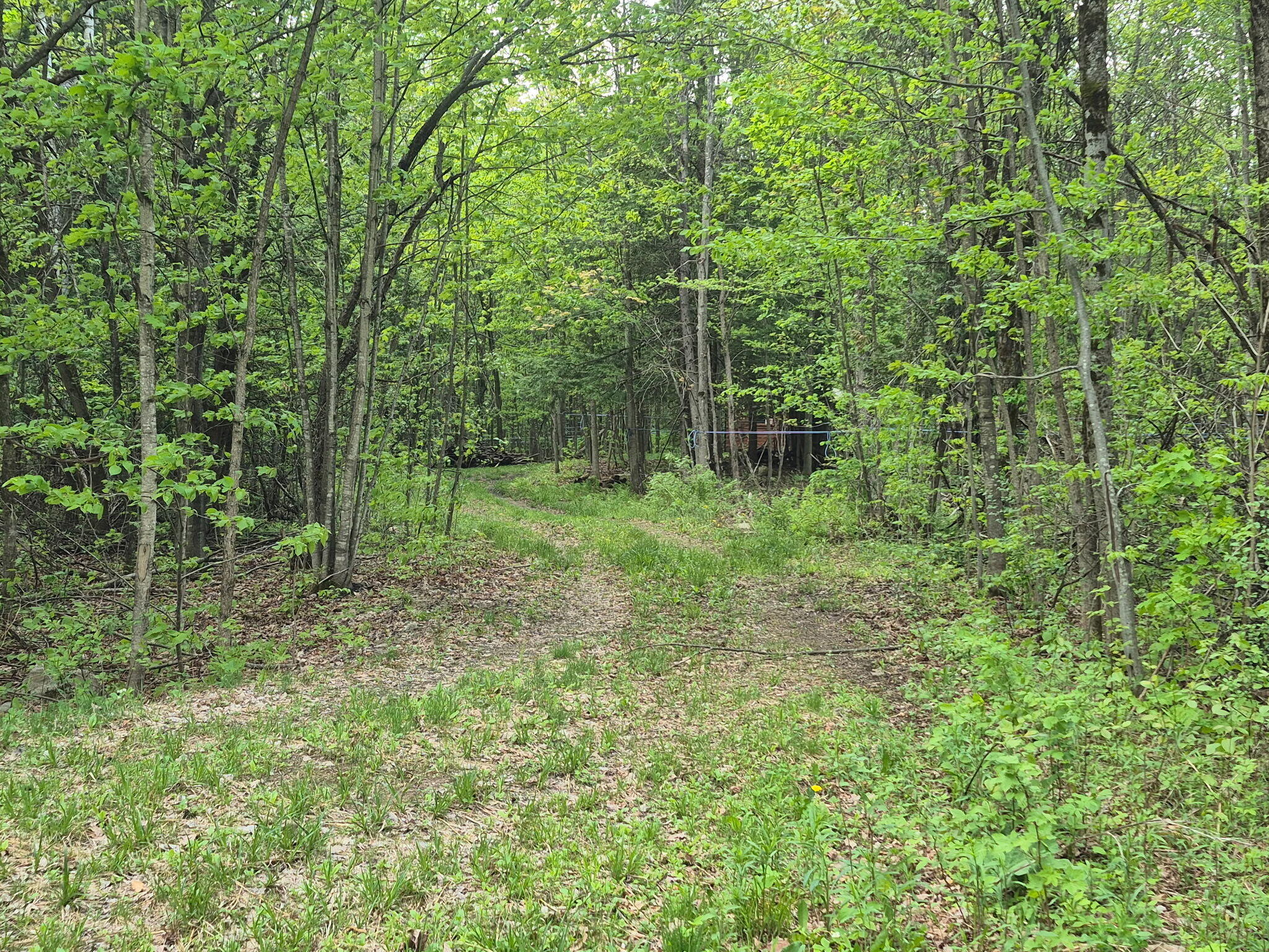 813 Bush Road Mooers Forks NY 12959