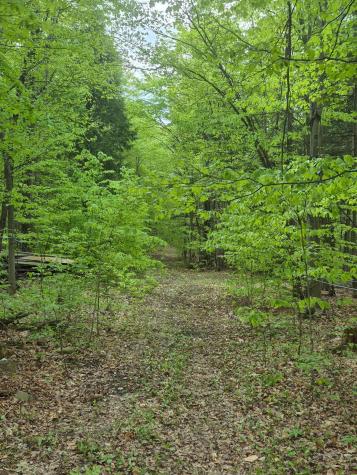 813 Bush Road Mooers Forks NY 12959