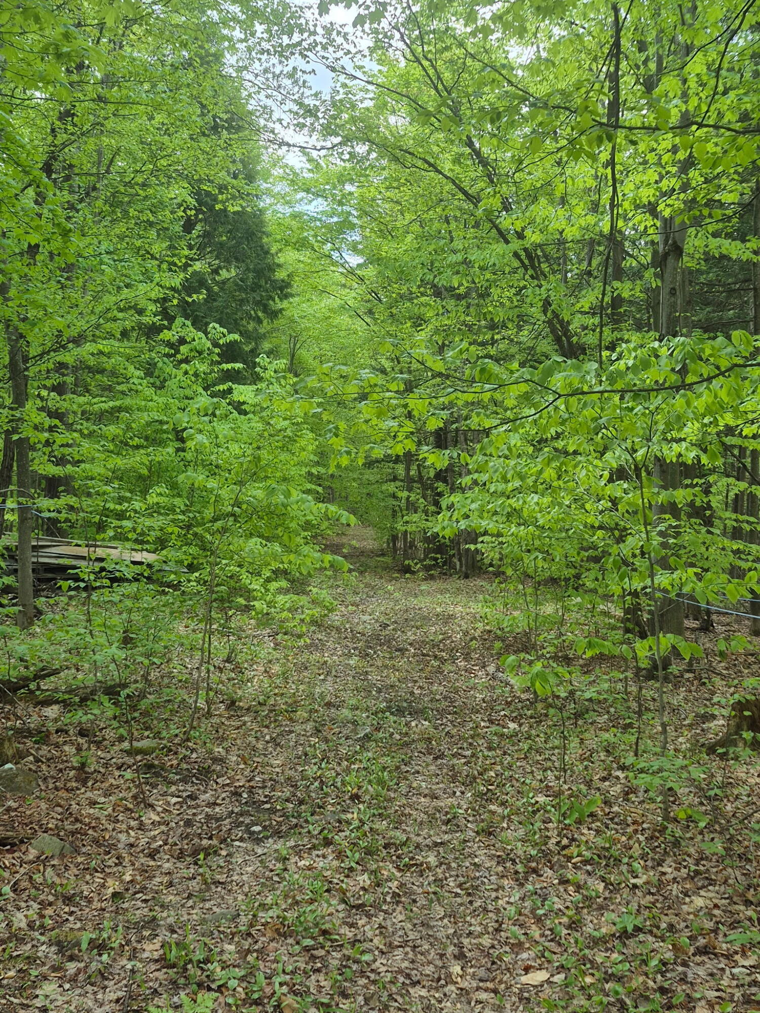813 Bush Road Mooers Forks NY 12959