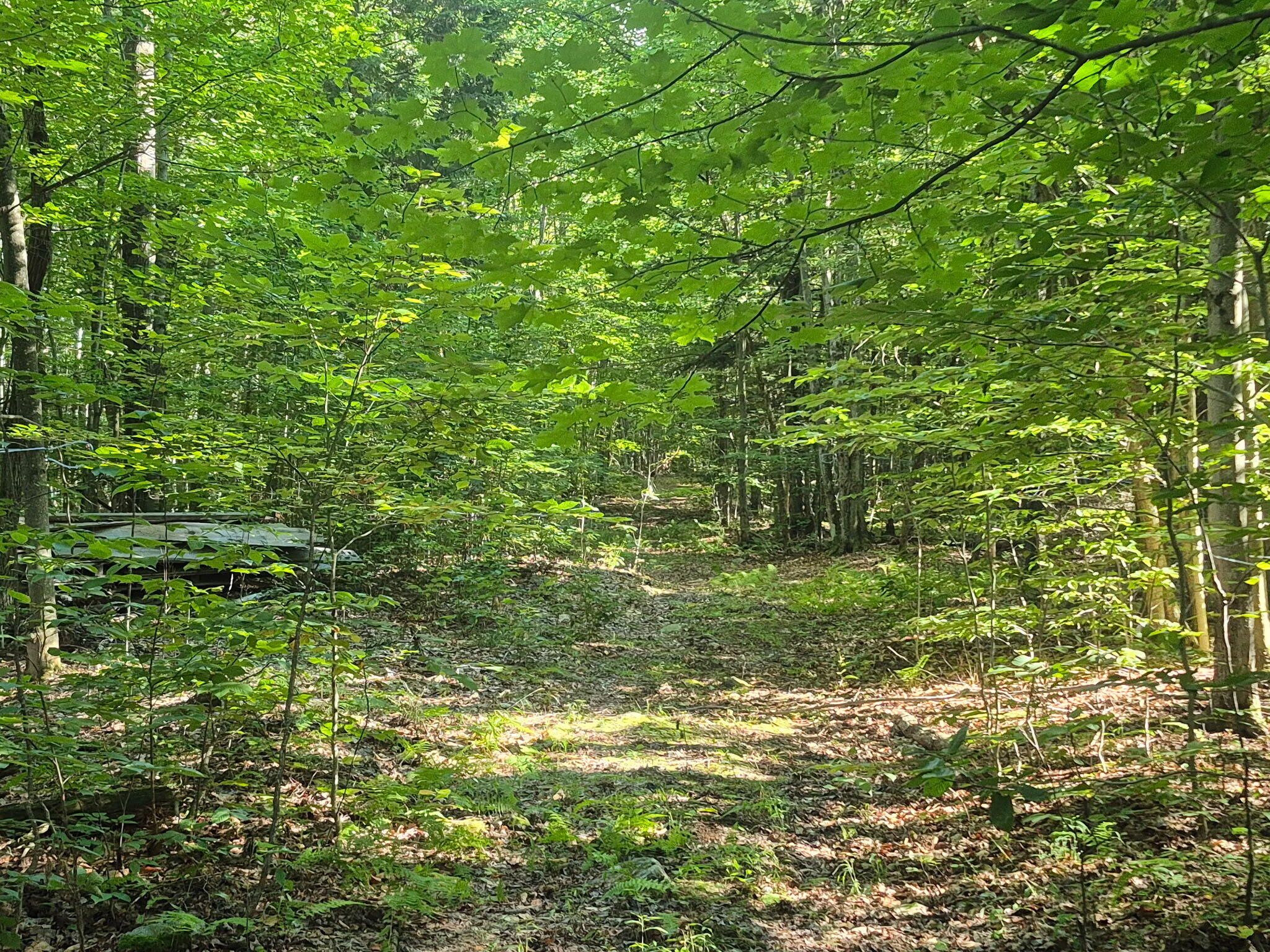 813 Bush Road Mooers Forks NY 12959