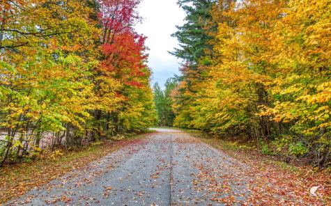 20 Pine Grove Lane Vermontville NY 12989