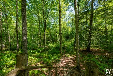 166 Lower Pond Way Elizabethtown NY 12932