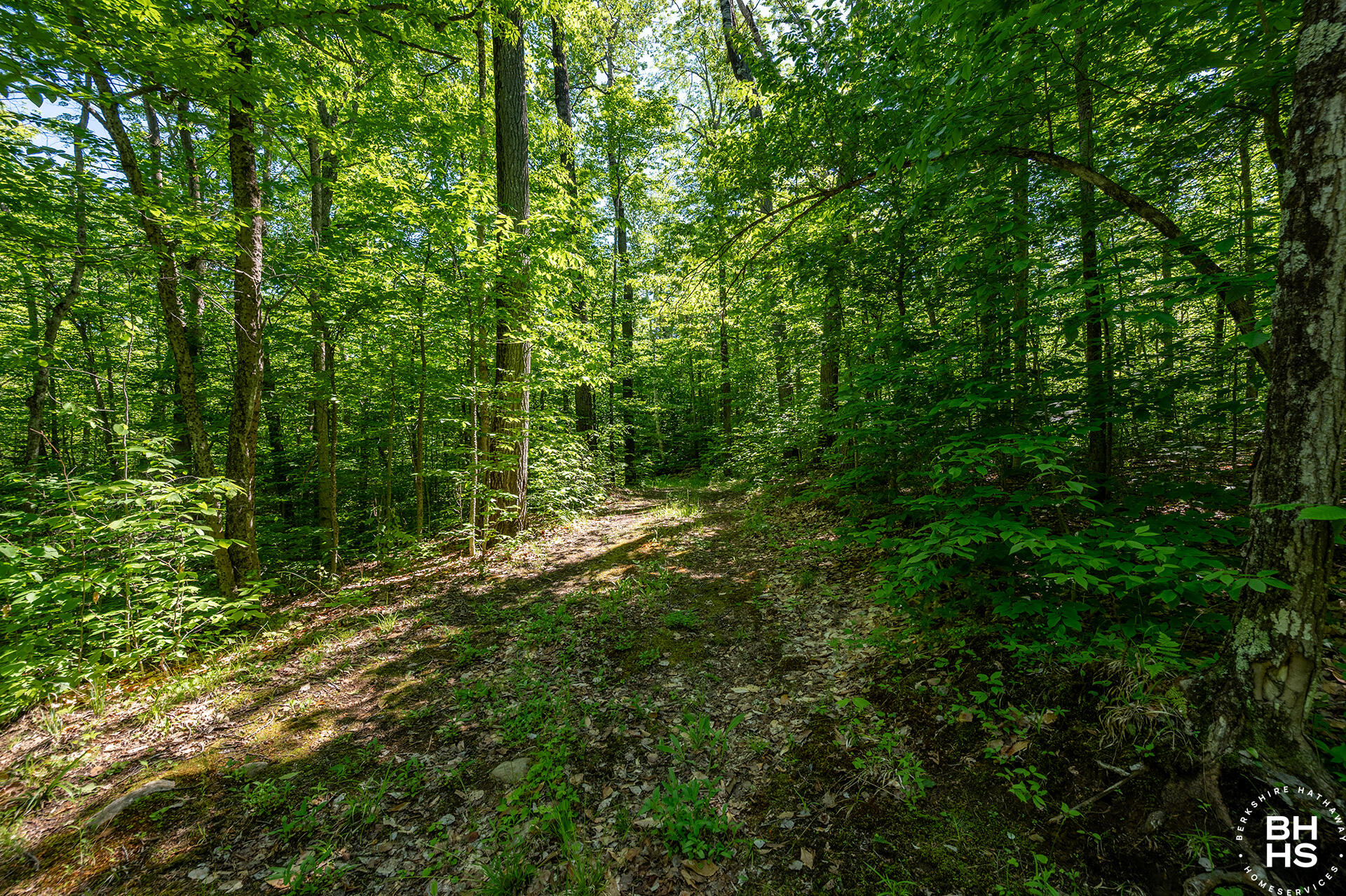 166 Lower Pond Way Elizabethtown NY 12932