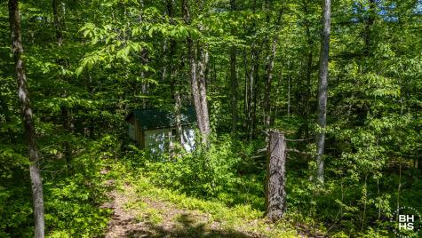 166 Lower Pond Way Elizabethtown NY 12932