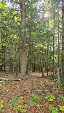 0 Priest Road Redford NY 12978