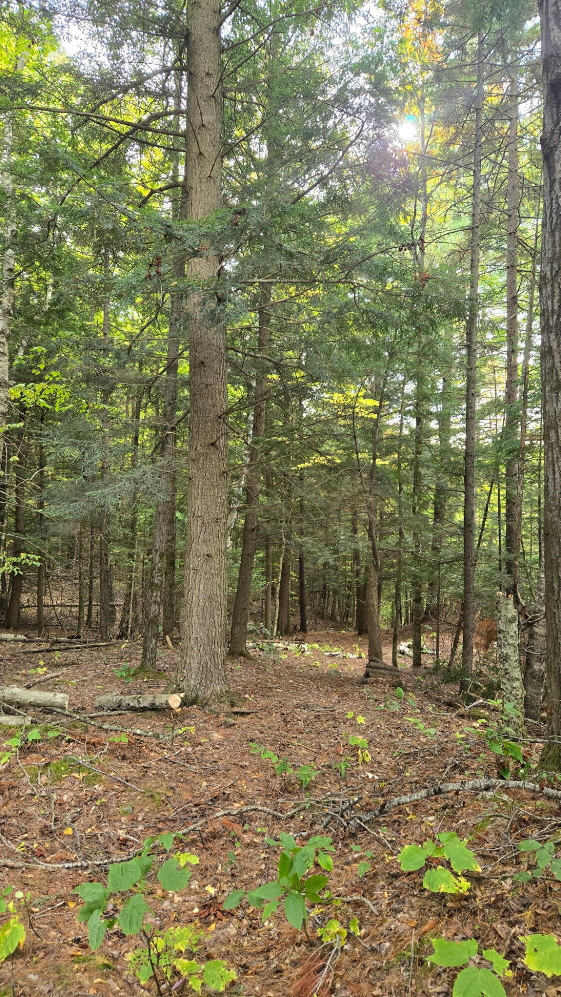0 Priest Road Redford NY 12978