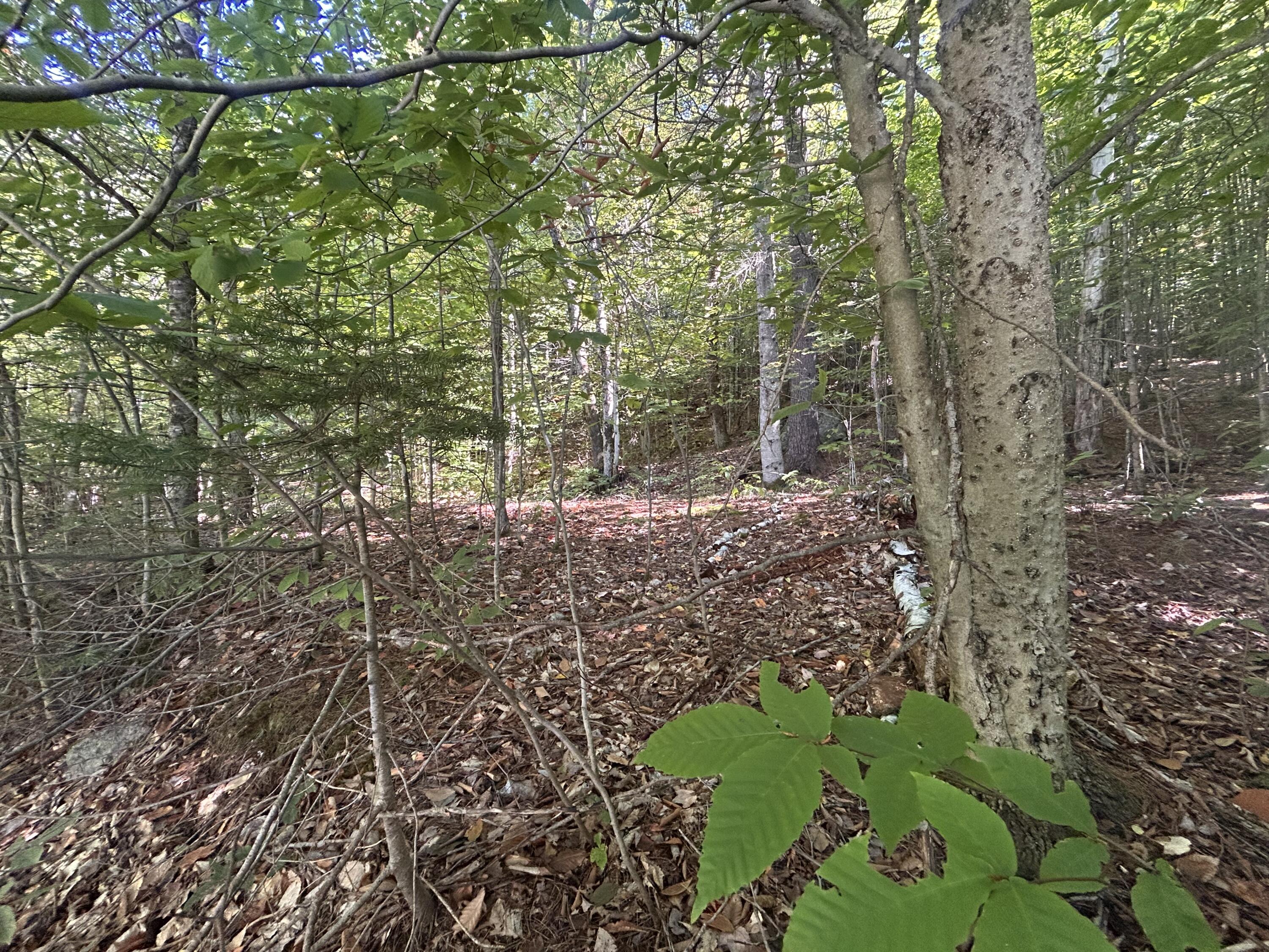 0 Priest Road Redford NY 12978