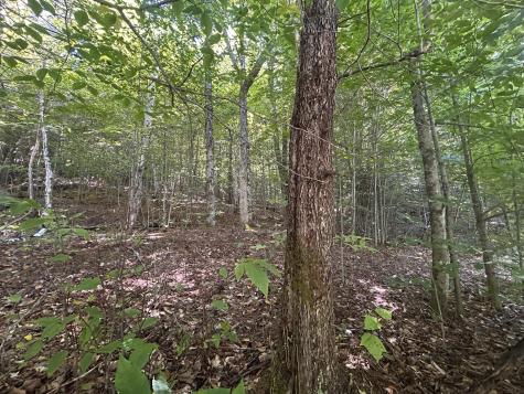 0 Priest Road Redford NY 12978