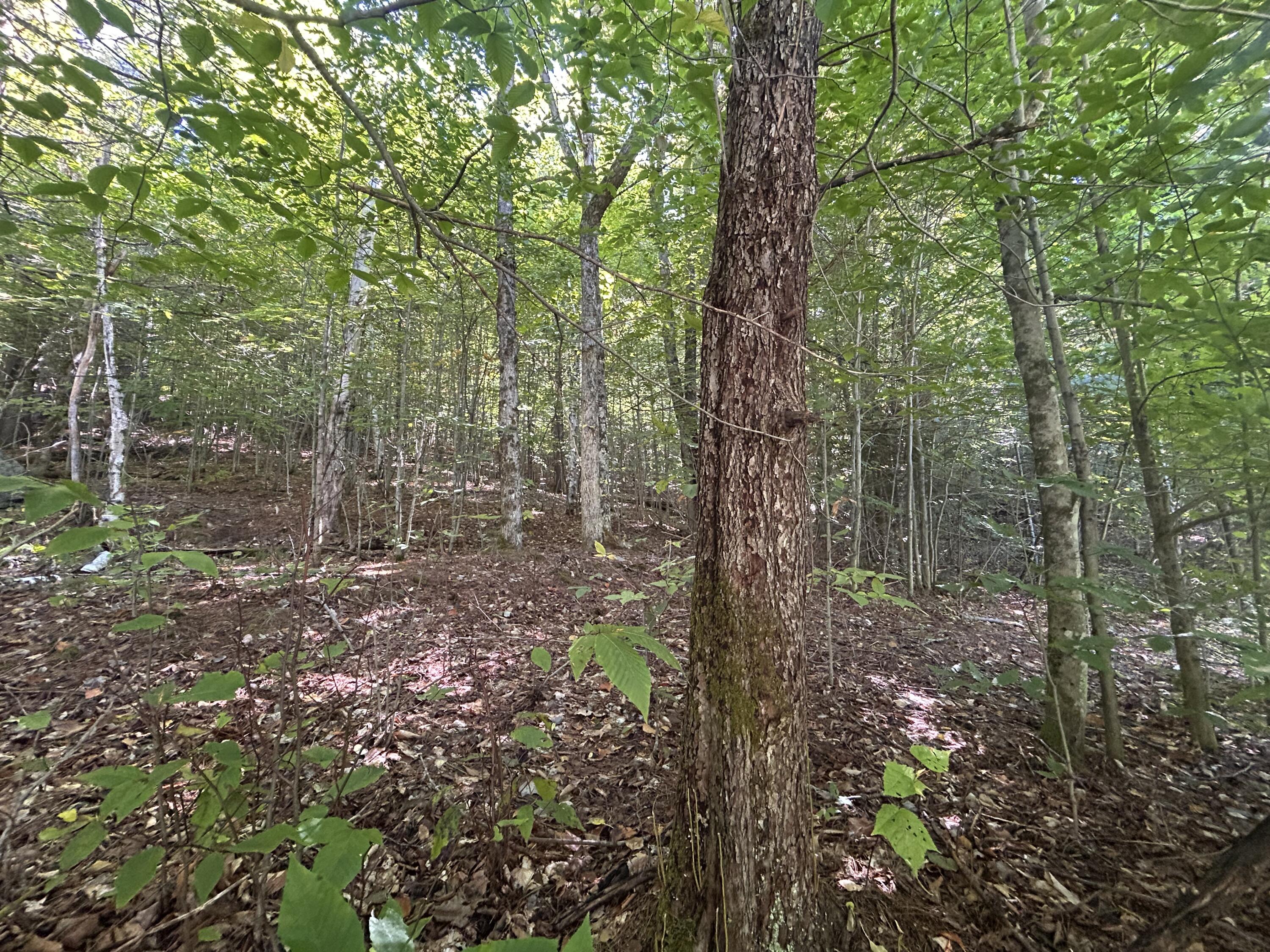 0 Priest Road Redford NY 12978