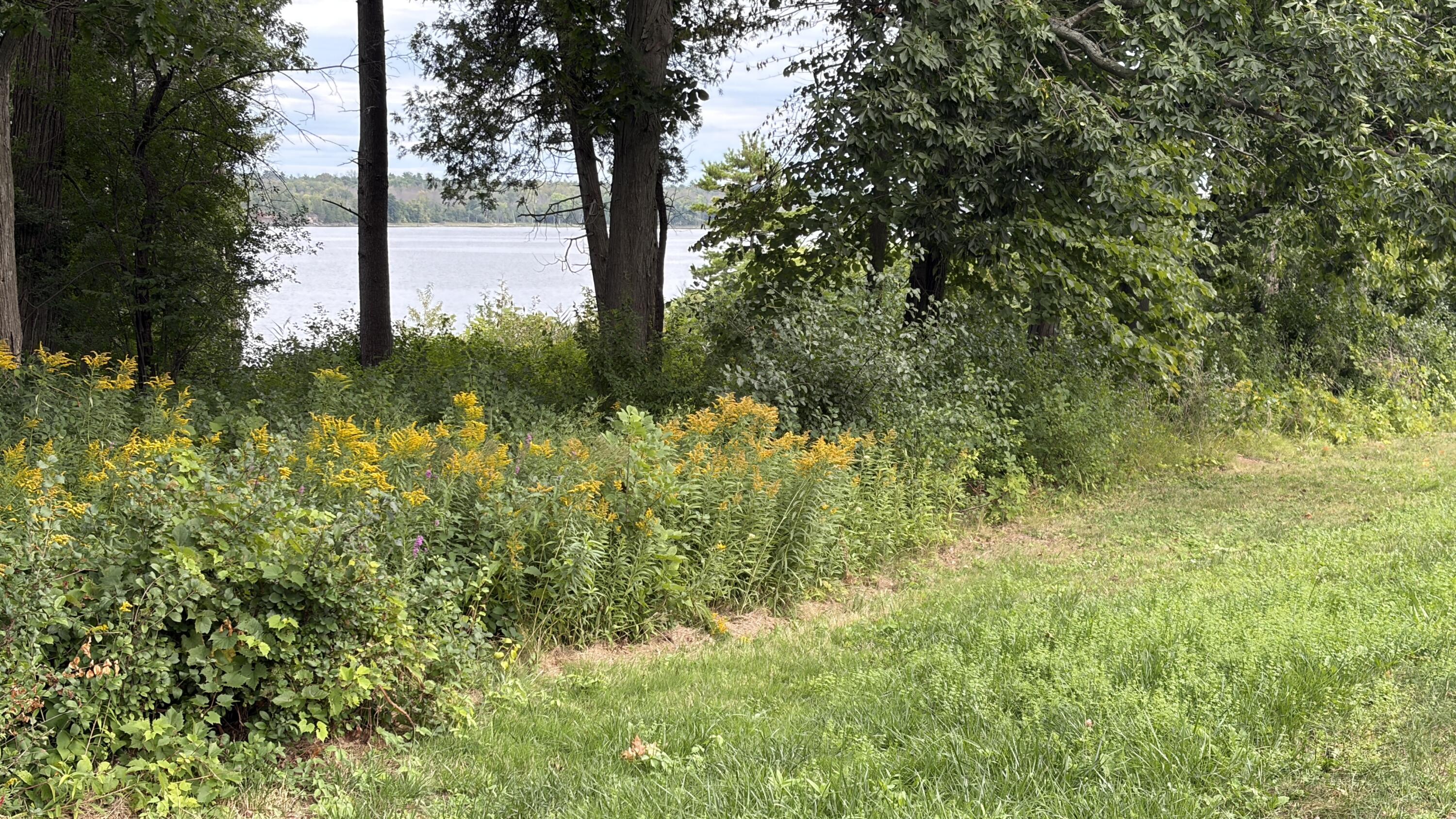 33 Windswept Lane Plattsburgh NY 12901