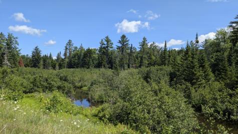 10279 Adirondack Trail Malone NY 12953