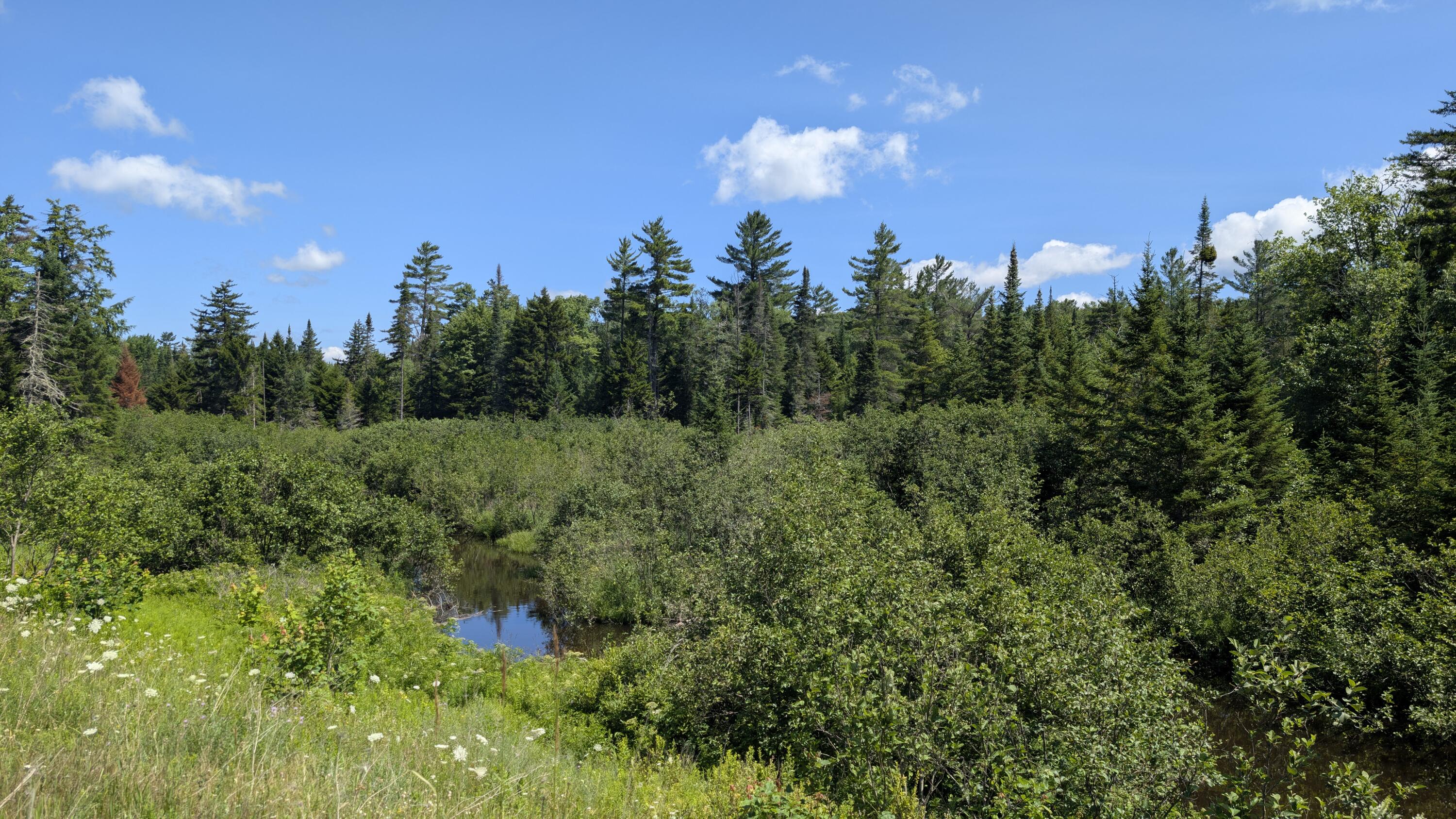 10279 Adirondack Trail Malone NY 12953