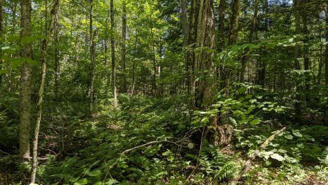 10279 Adirondack Trail Malone NY 12953