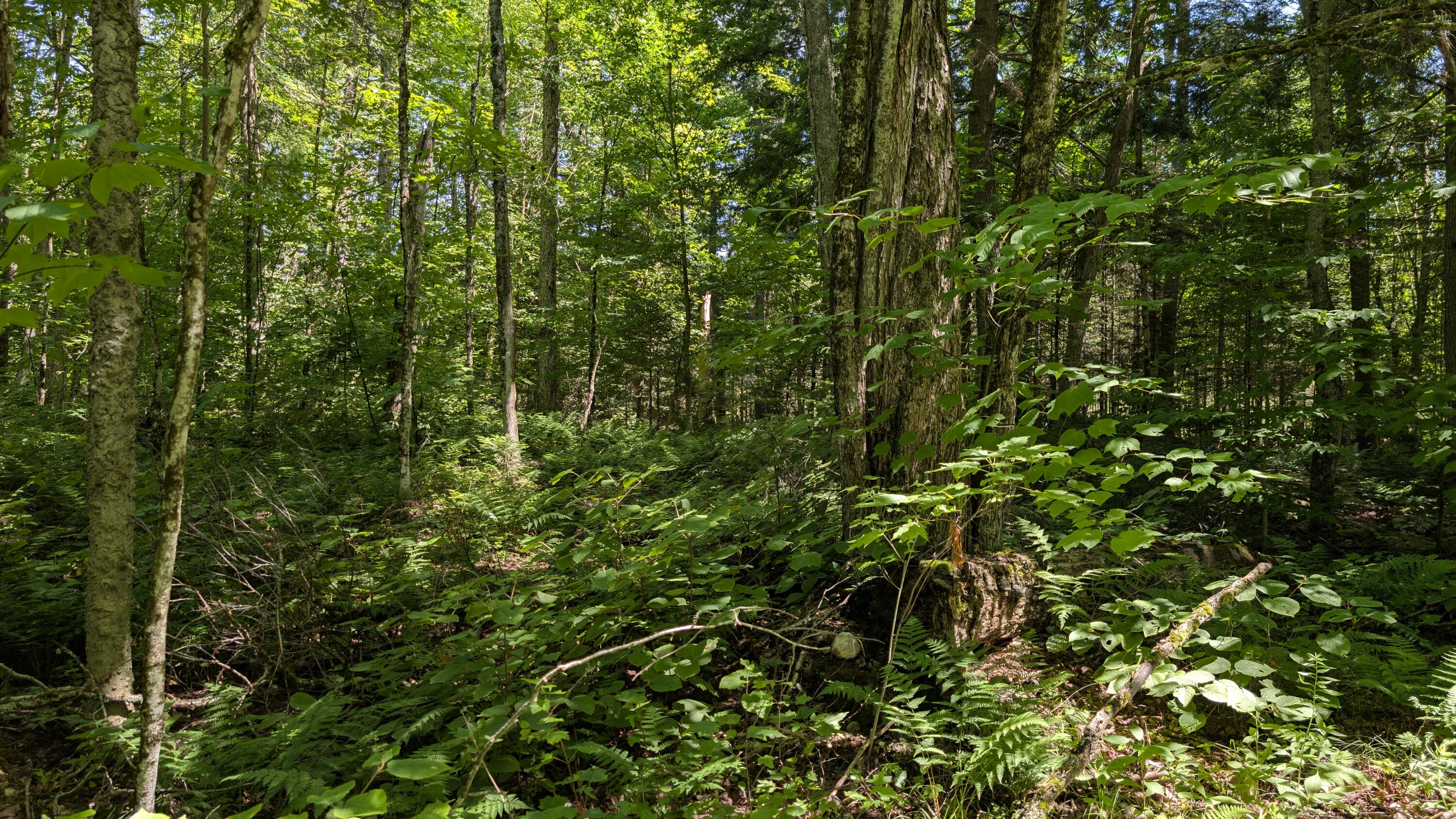 10279 Adirondack Trail Malone NY 12953