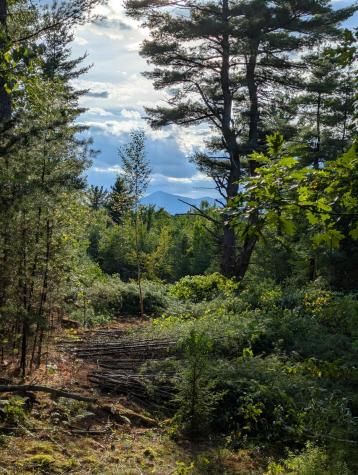 Lot 2 Wildernesscapes Way Jay NY 12941