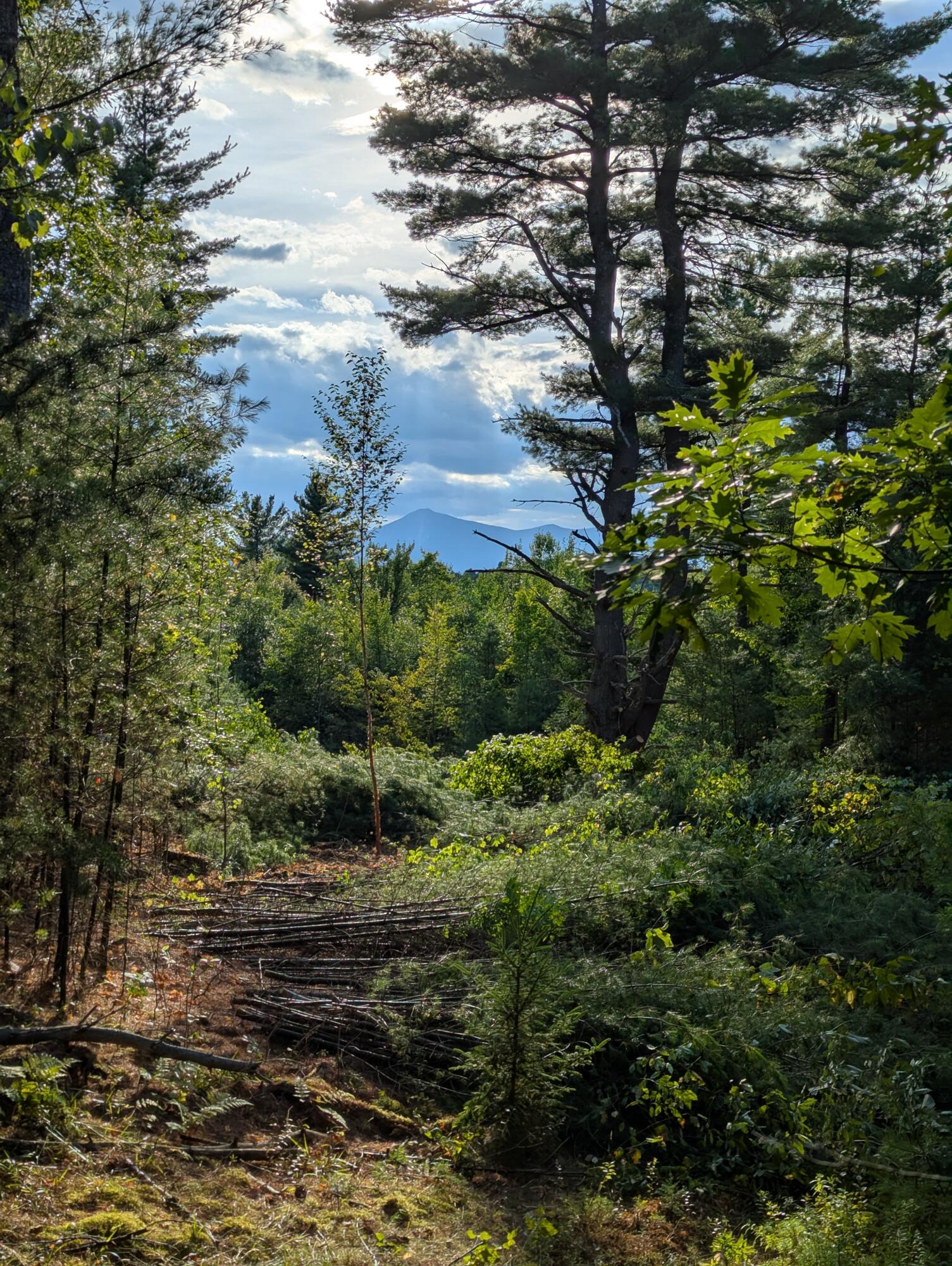 Lot 2 Wildernesscapes Way Jay NY 12941