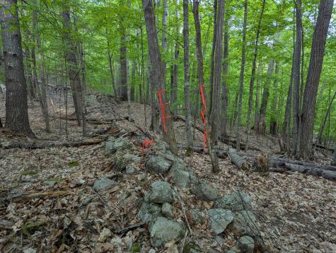 Lot 2 Wildernesscapes Way Jay NY 12941