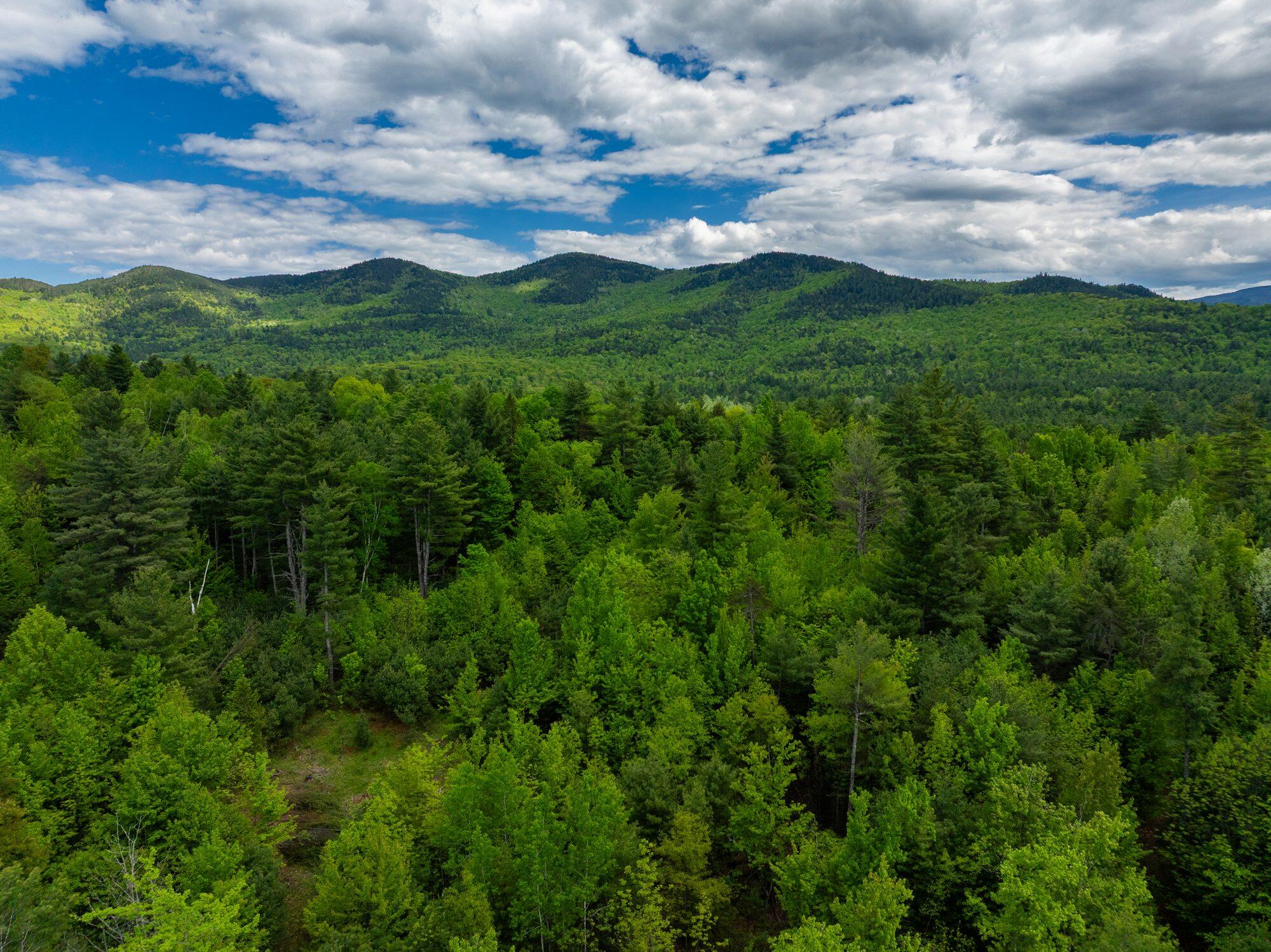 Lot 2 Wildernesscapes Way Jay NY 12941