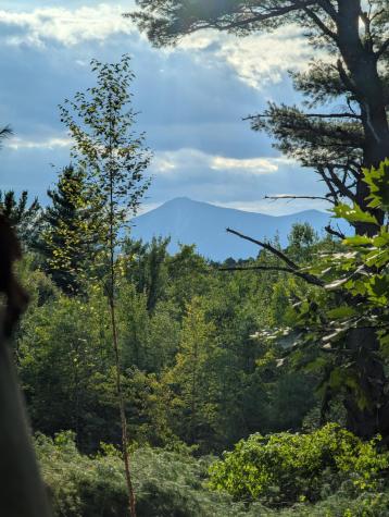 Lot 2 Wildernesscapes Way Jay NY 12941