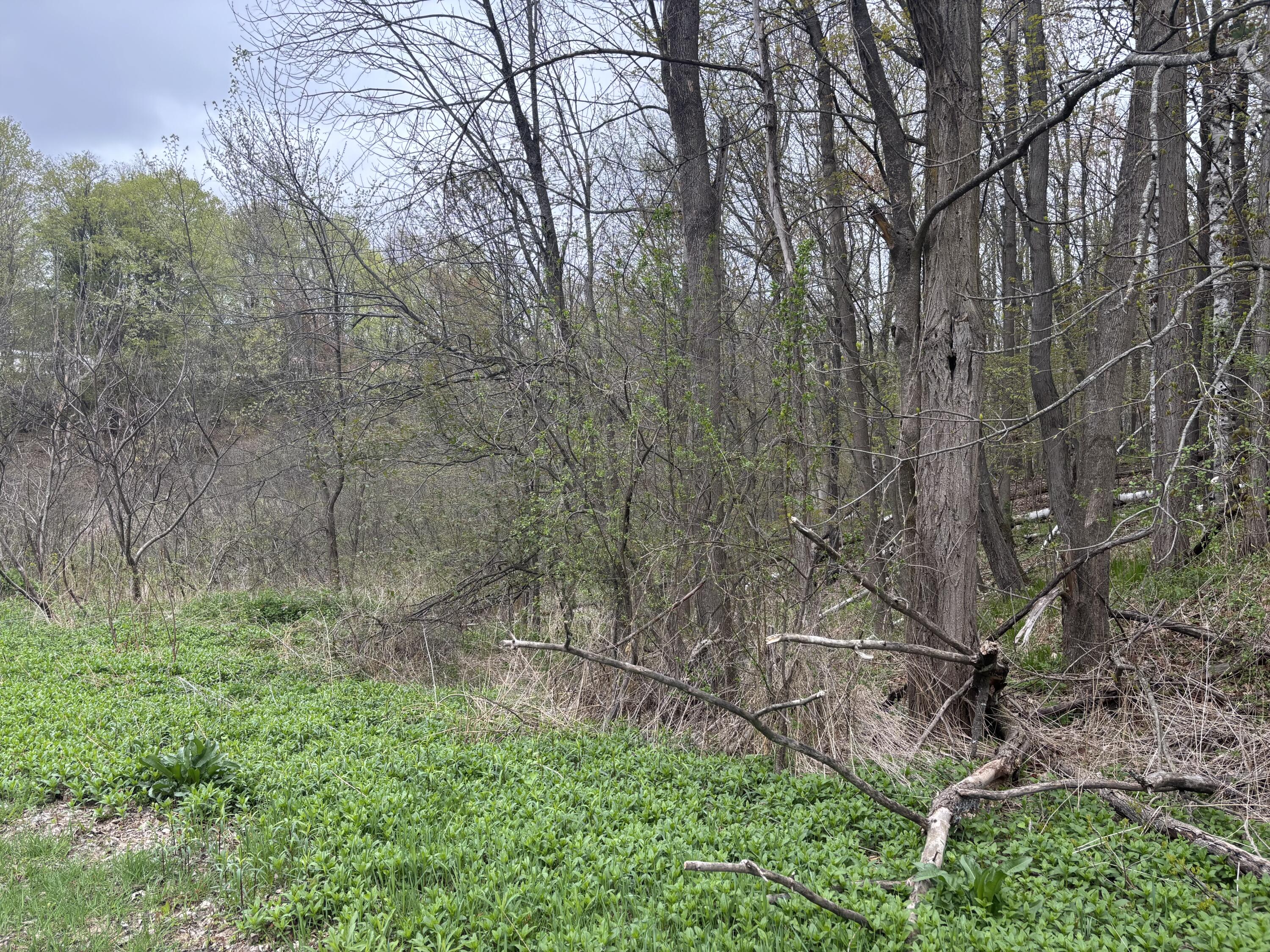 0 Ram Road Schuyler Falls NY 12962