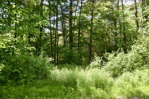 0 Cayuga Place Willsboro NY 12996