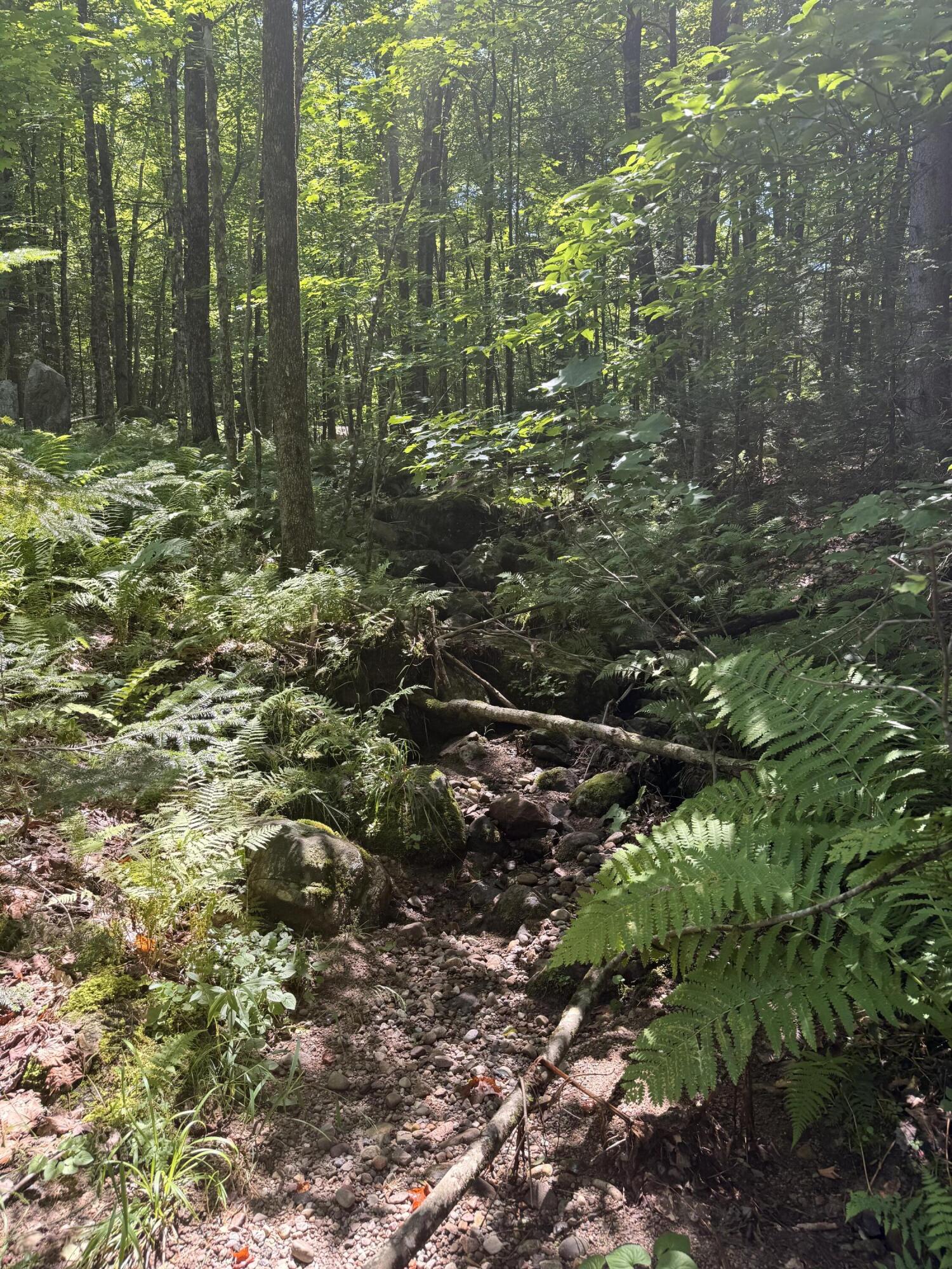 Tbd Cook Road St. Regis Falls NY 12980