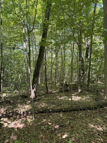 Tbd Cook Road St. Regis Falls NY 12980