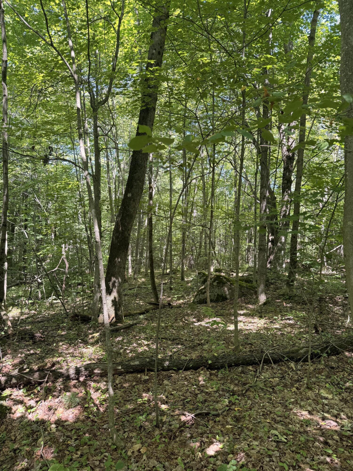 Tbd Cook Road St. Regis Falls NY 12980