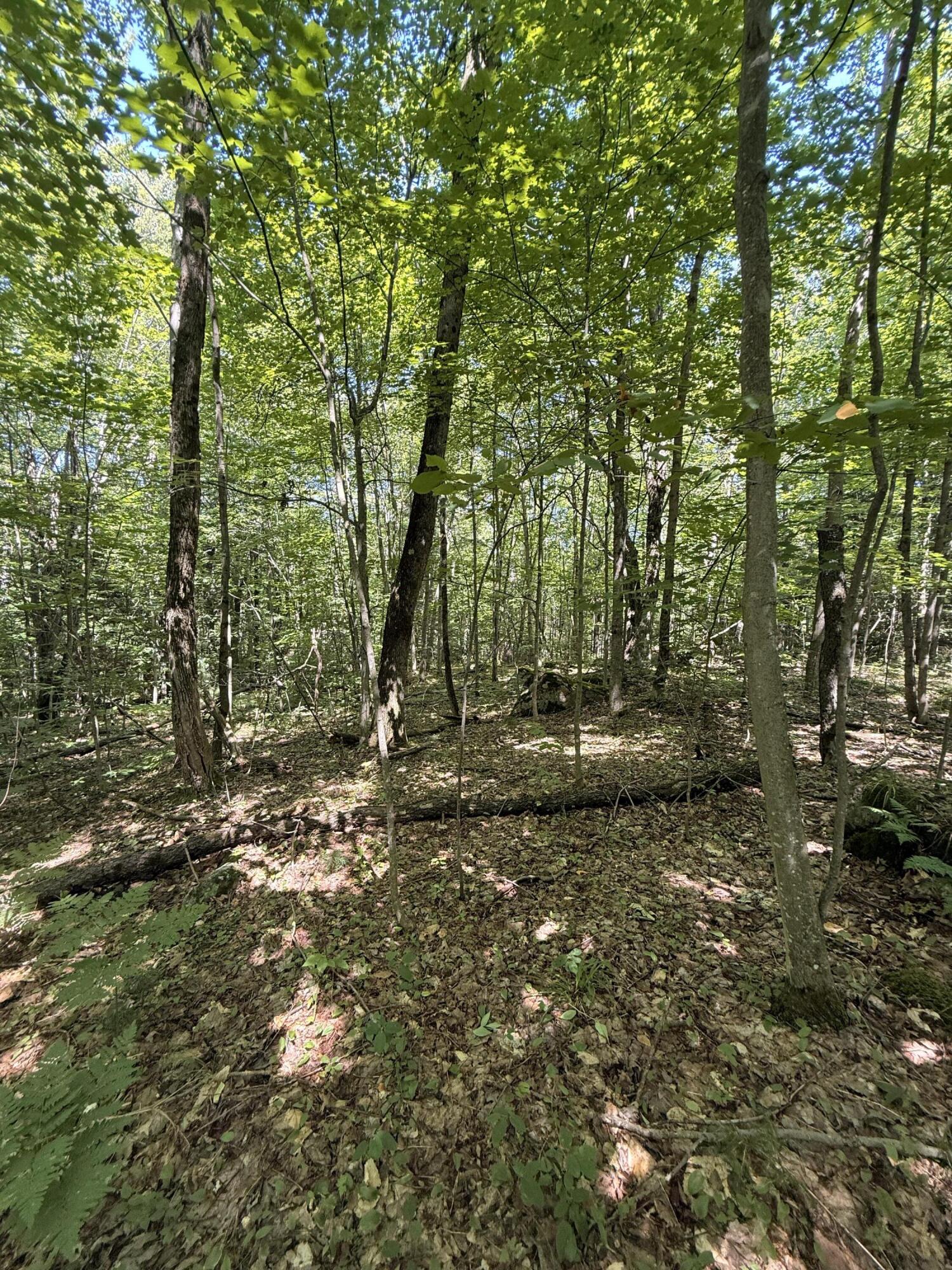 Tbd Cook Road St. Regis Falls NY 12980