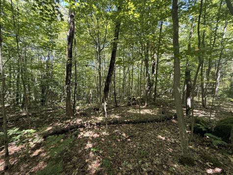 Tbd Cook Road St. Regis Falls NY 12980