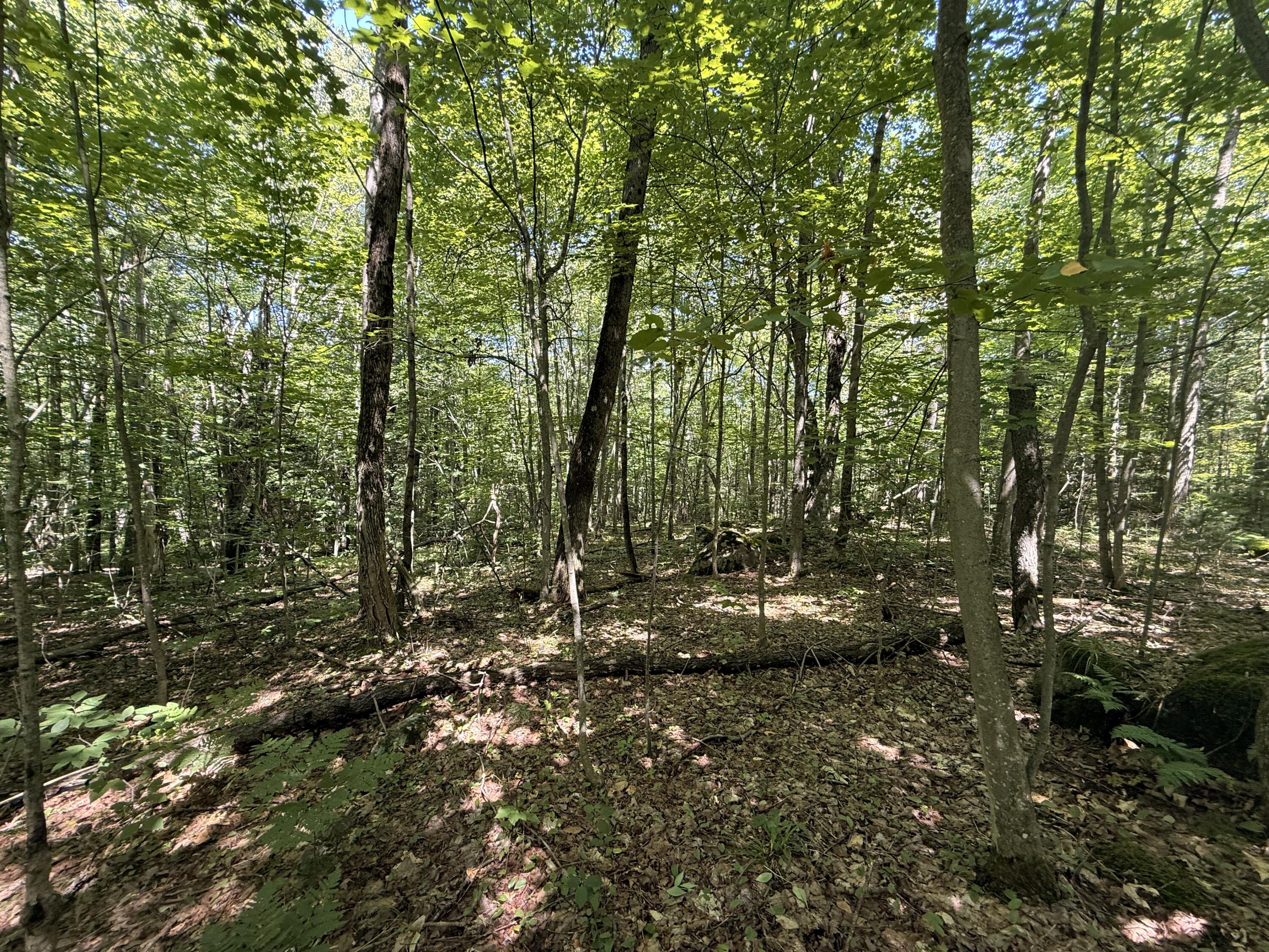 Tbd Cook Road St. Regis Falls NY 12980