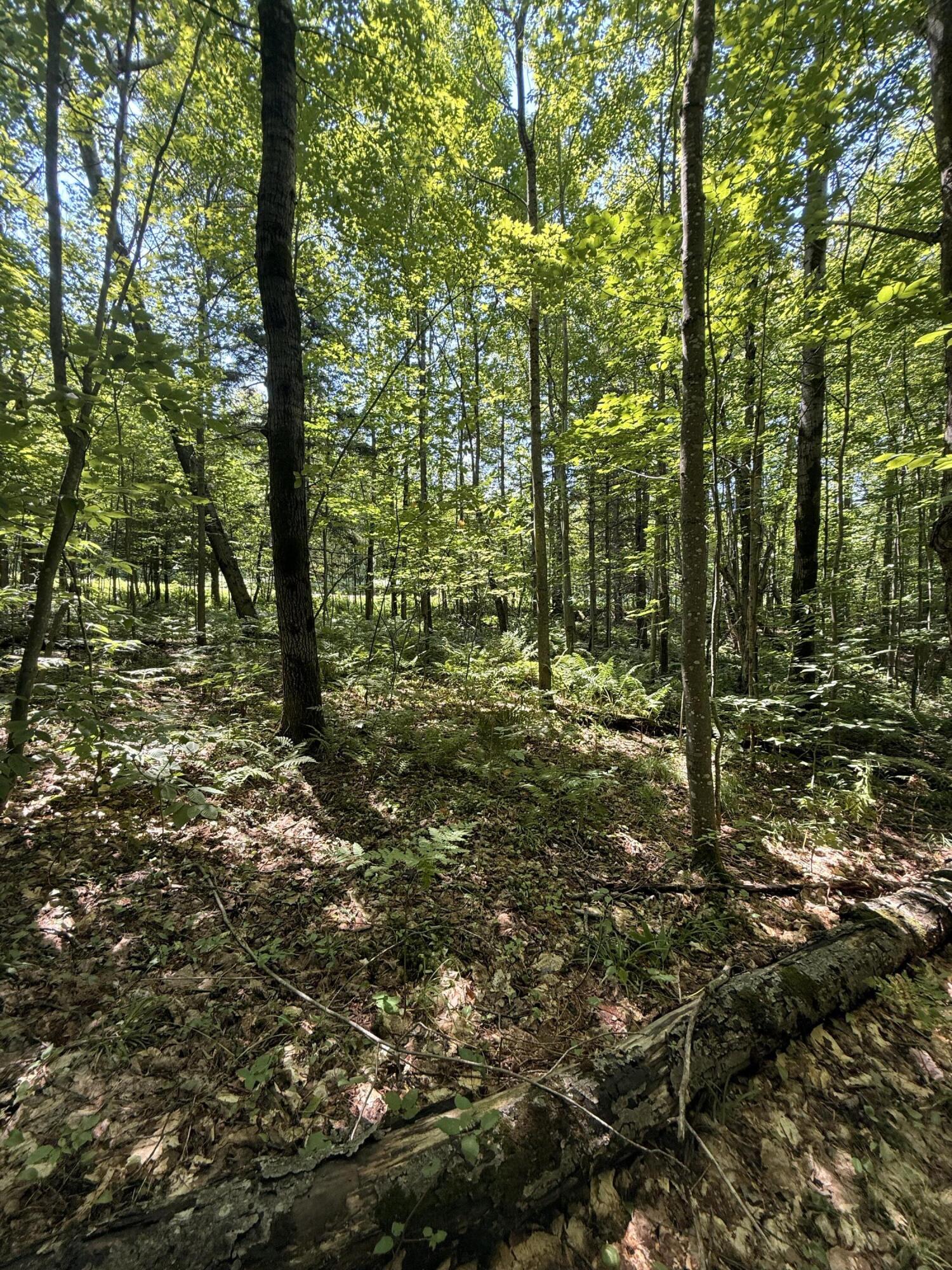 Tbd Cook Road St. Regis Falls NY 12980