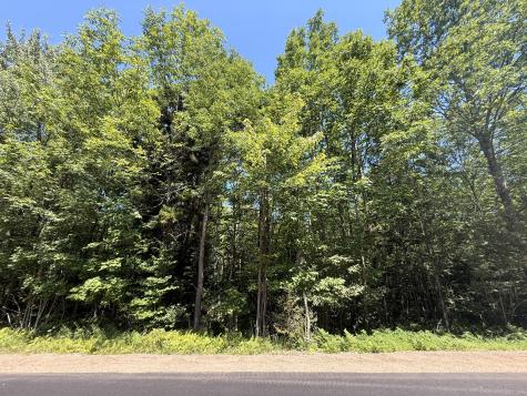 Tbd Cook Road St. Regis Falls NY 12980