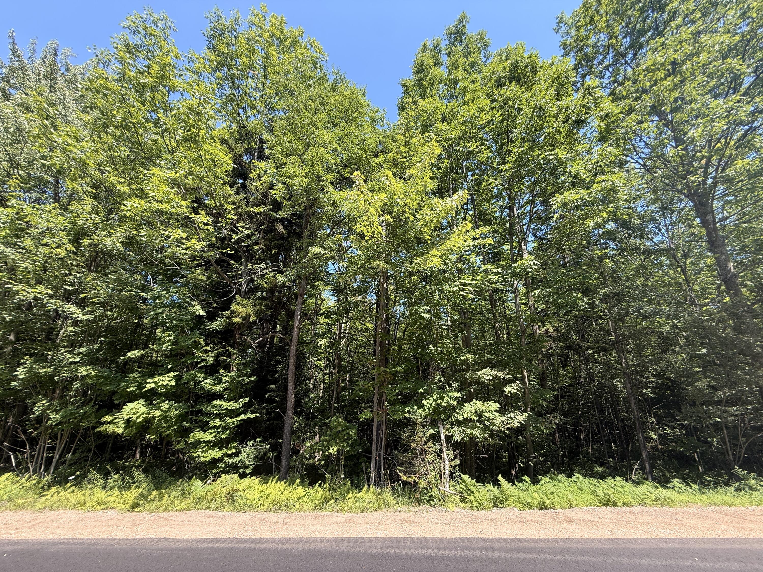 Tbd Cook Road St. Regis Falls NY 12980