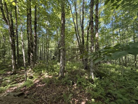 Tbd Cook Road St. Regis Falls NY 12980