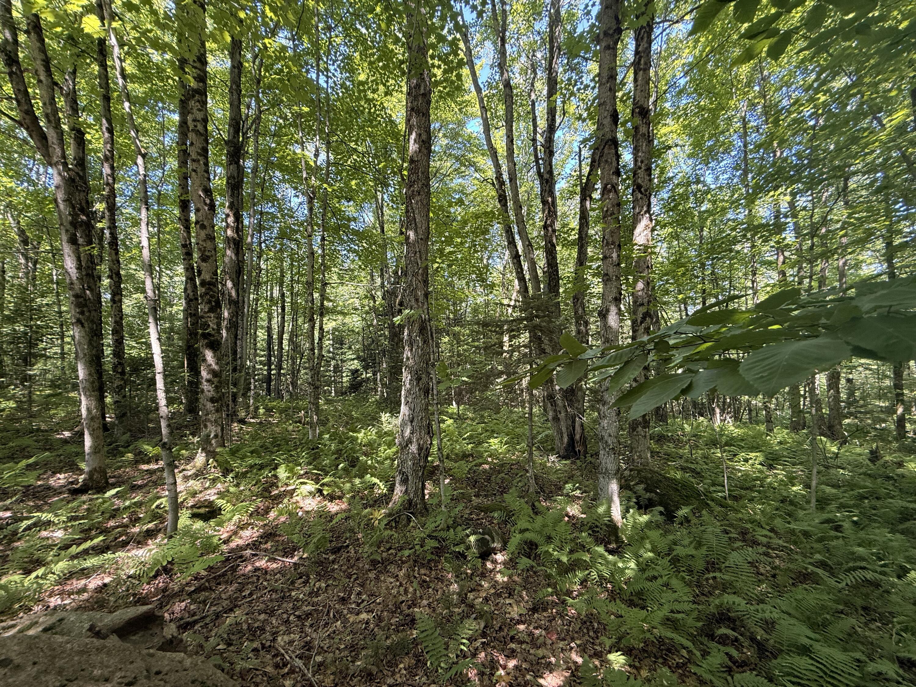 Tbd Cook Road St. Regis Falls NY 12980