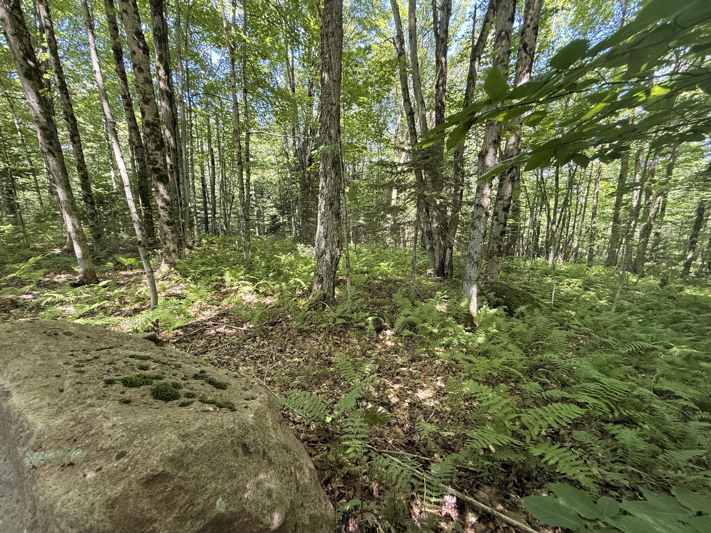 Tbd Cook Road St. Regis Falls NY 12980