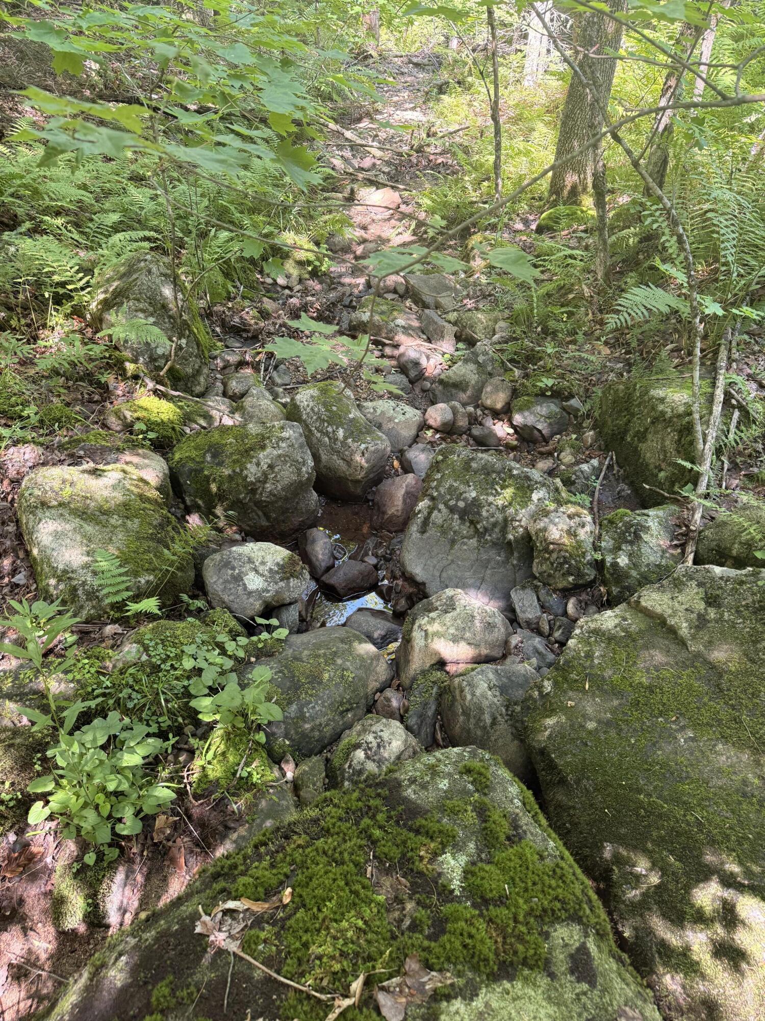 Tbd Cook Road St. Regis Falls NY 12980