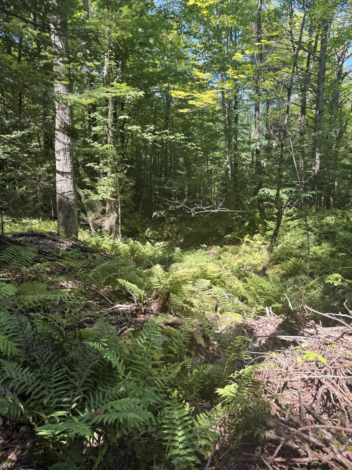 Tbd Cook Road St. Regis Falls NY 12980