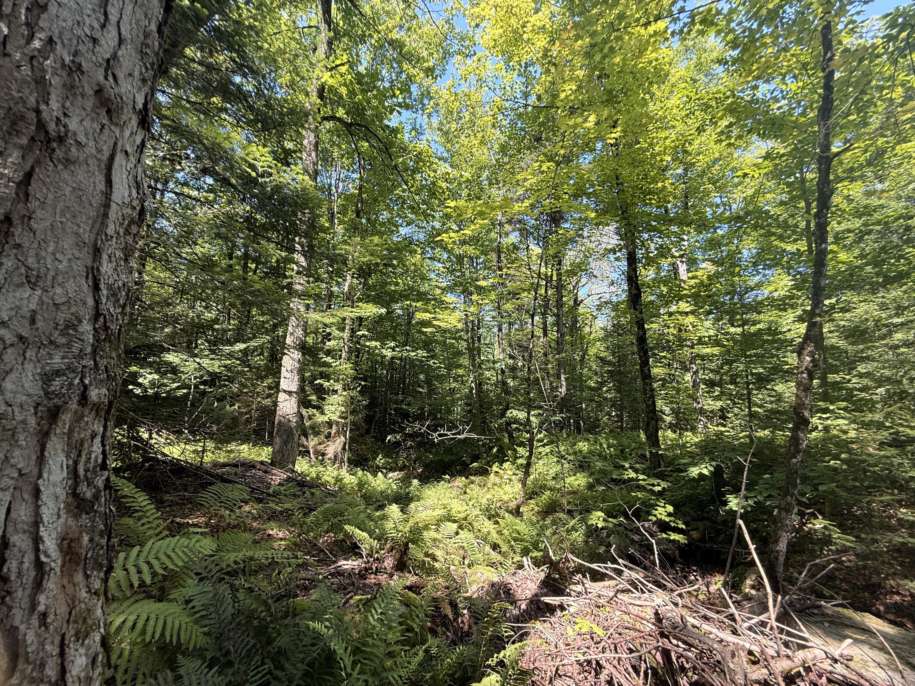 Tbd Cook Road St. Regis Falls NY 12980