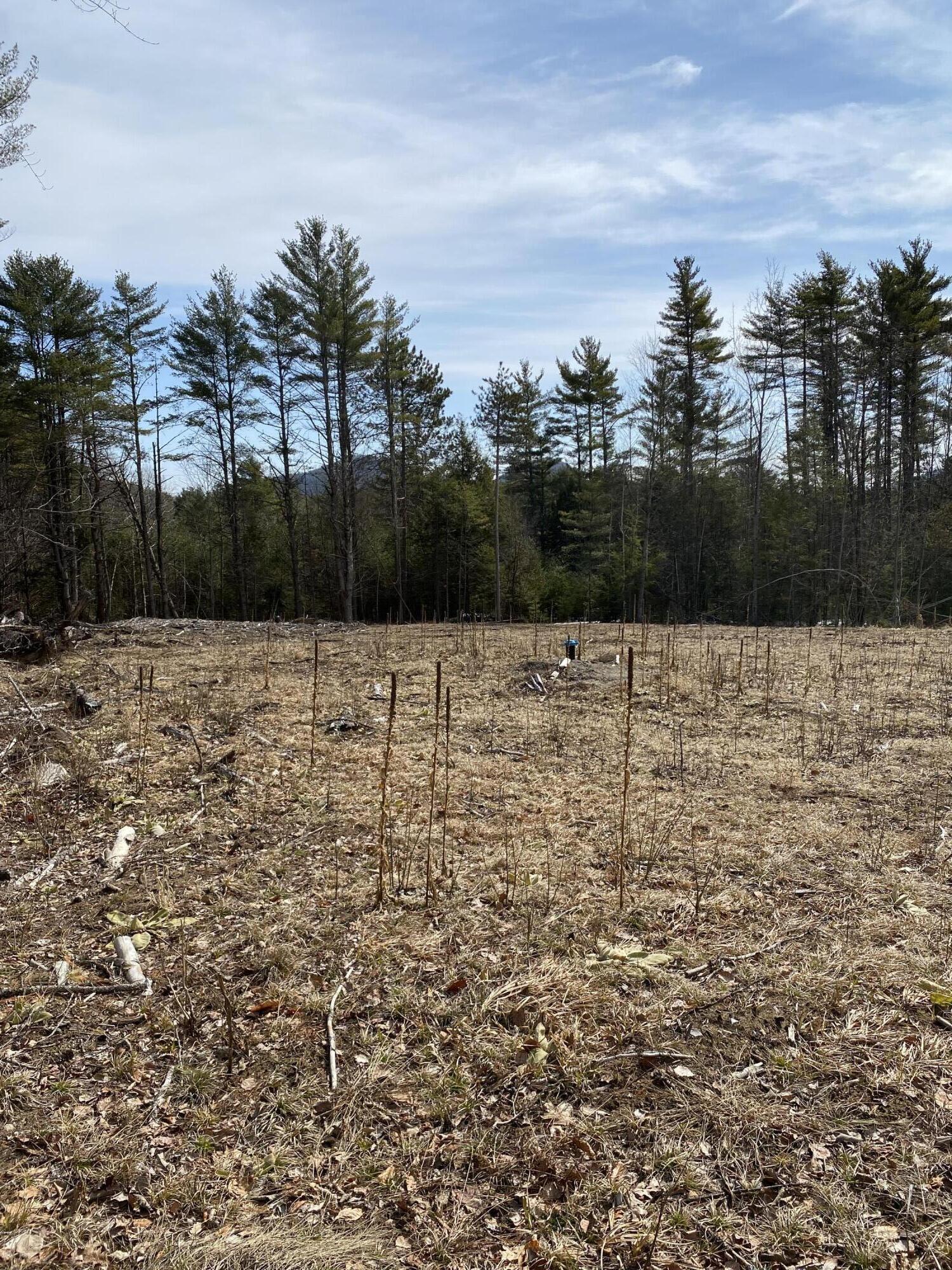 530 Fox Run Road Street Lewis NY 12950