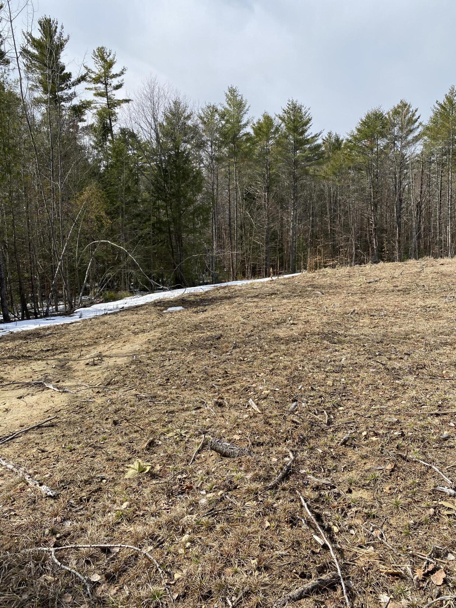 530 Fox Run Road Street Lewis NY 12950