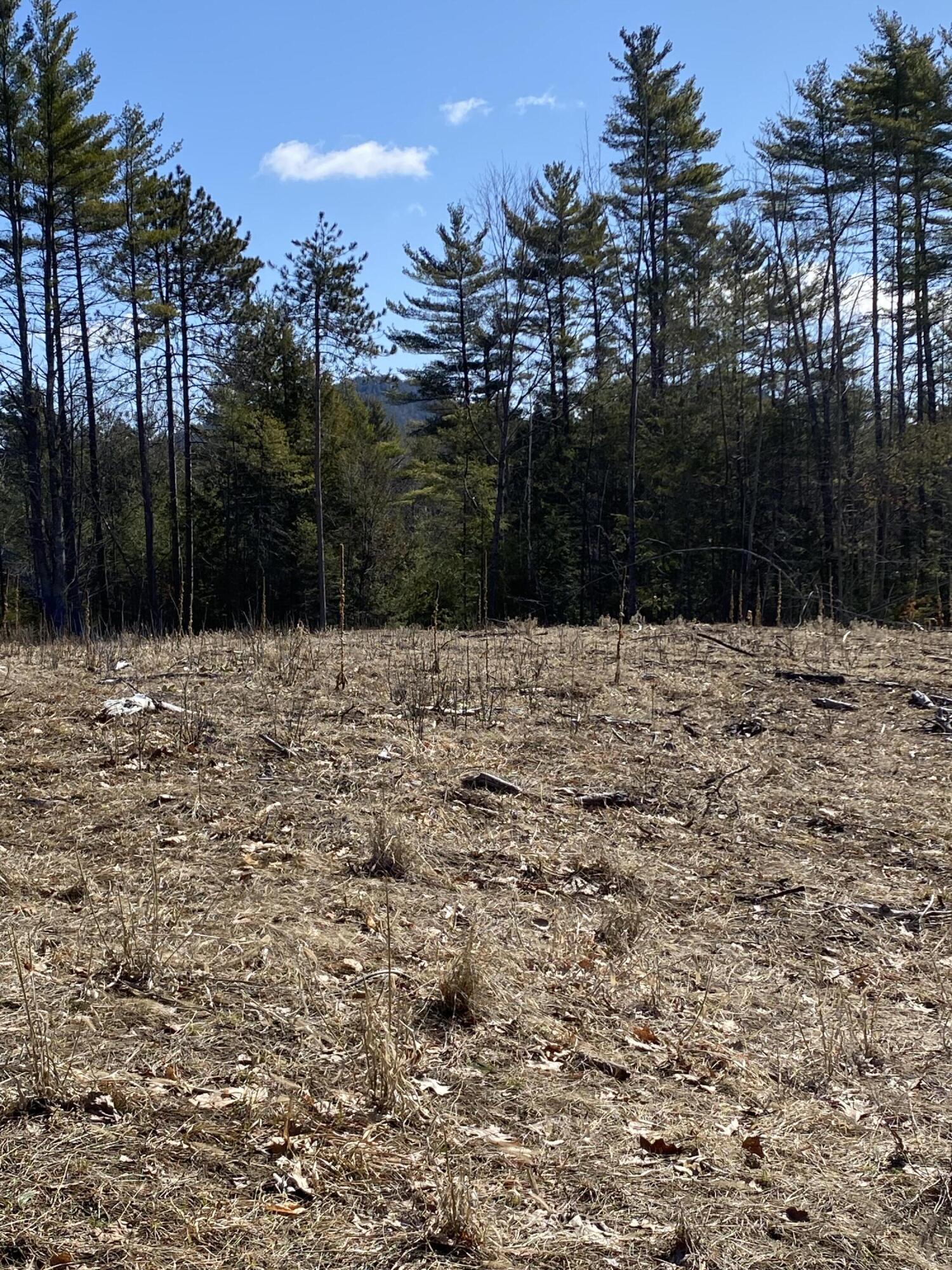 530 Fox Run Road Street Lewis NY 12950